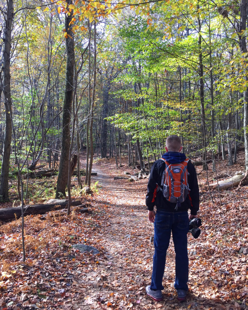 hiker on the Appalachian Trail