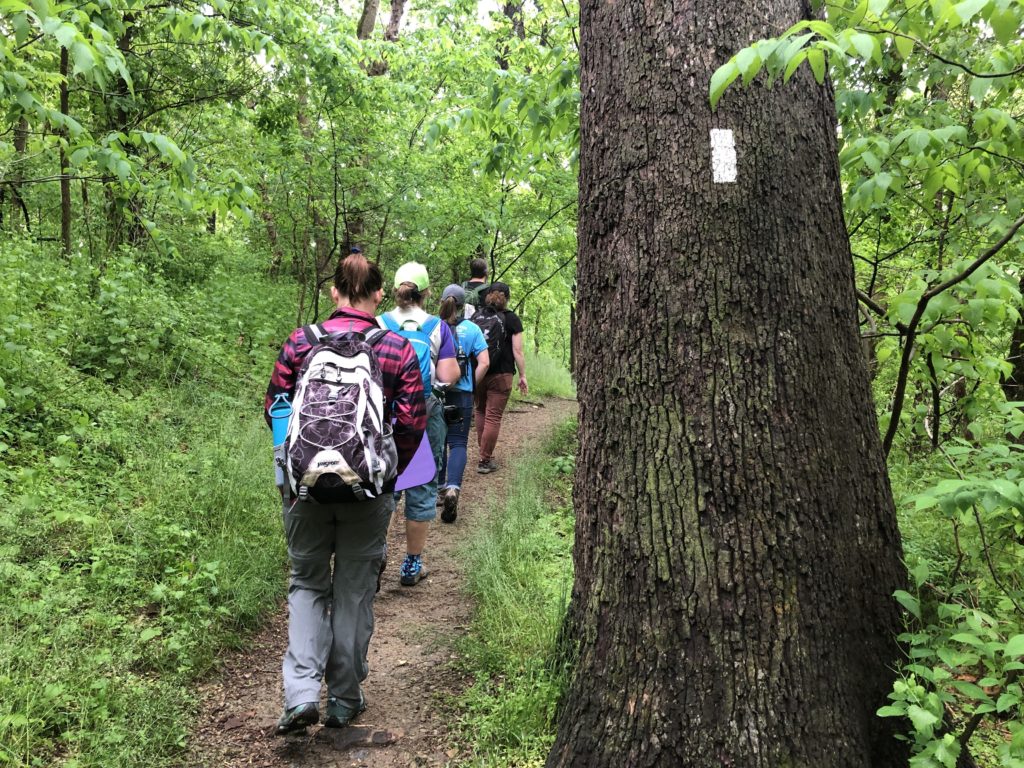 line of hikers on the Appalachian Trail